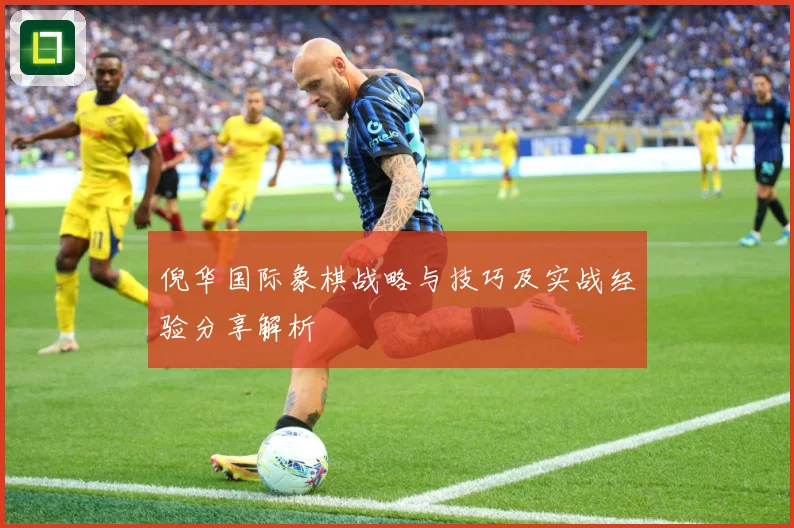 倪华国际象棋战略与技巧及实战经验分享解析