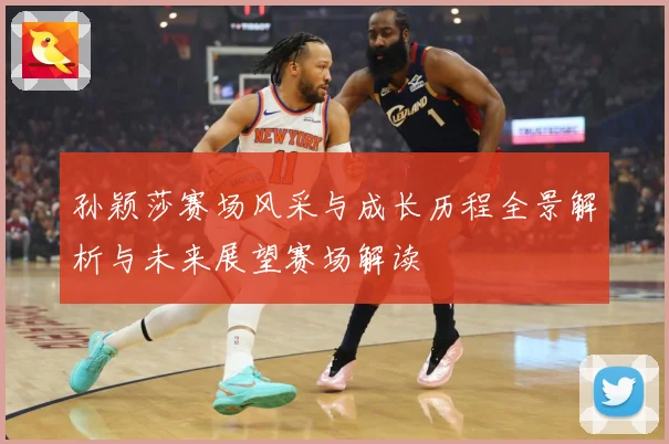 孙颖莎赛场风采与成长历程全景解析与未来展望赛场解读