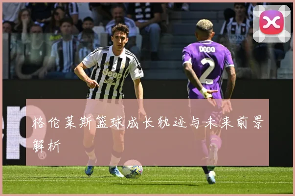 格伦莱斯篮球成长轨迹与未来前景解析